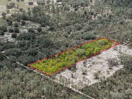 Farm Property for sale in Levy County, Florida