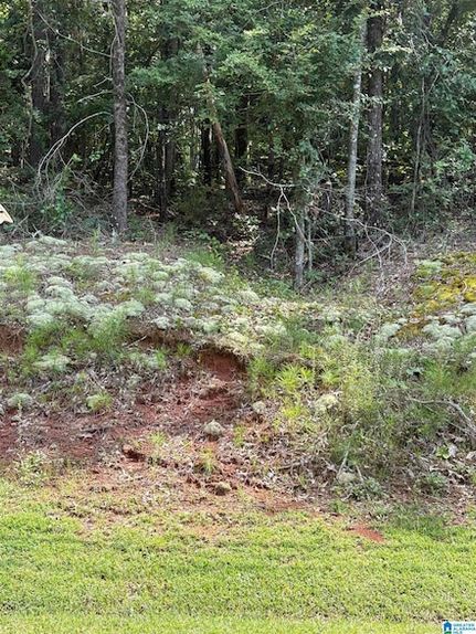Farm Property for sale in Calhoun County, Alabama