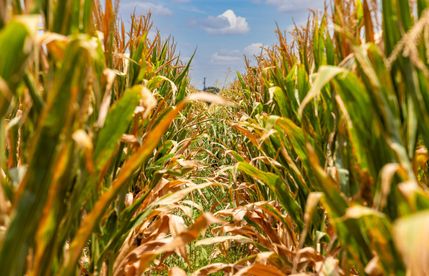 Farm Property for sale in Medina County, Texas