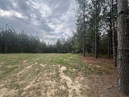Farm Property for sale in Houston County, Tennessee