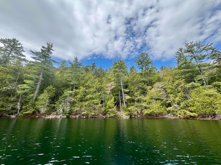Timberland Property for sale in Hancock County, Maine