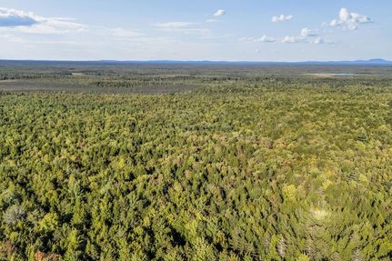 Timberland Property for sale in Penobscot County, Maine