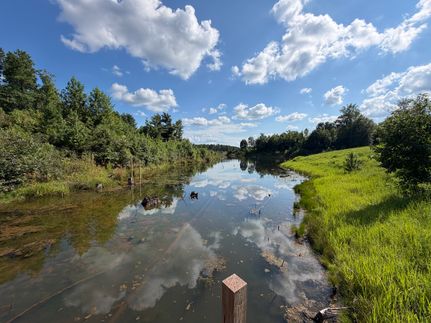 Farm Property for sale in Tuscaloosa County, Alabama