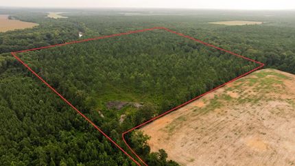Timberland Property for sale in Morehouse Parish, Louisiana