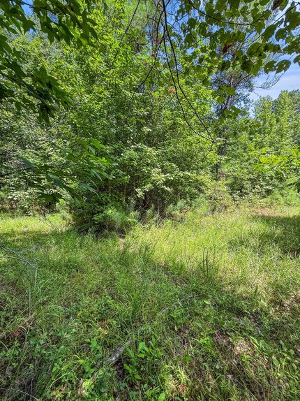 Farm Property for sale in Choctaw County, Mississippi