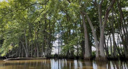 Ranch Property for sale in Saint Francis County, Arkansas
