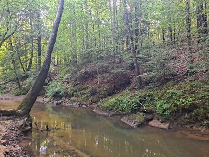 Timberland Property for sale in Walker County, Alabama