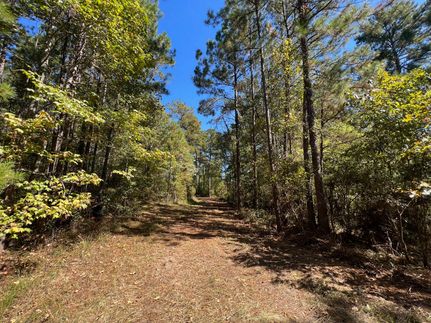 Farm Property for sale in Franklin County, Mississippi