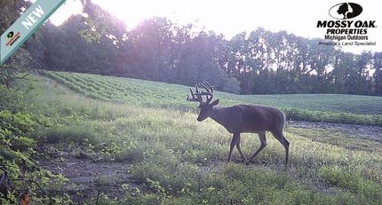Farm Property for sale in Saint Joseph County, Michigan