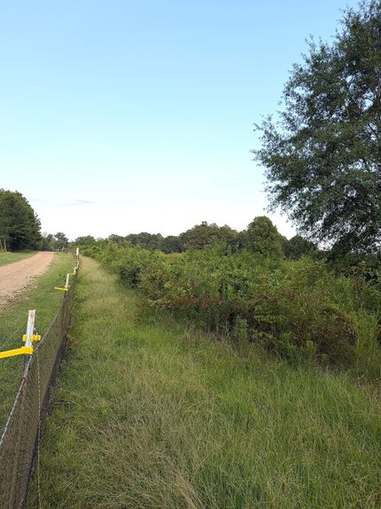 Farm Property for sale in Lincoln County, Mississippi