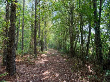 Property for sale in Clarendon County, South Carolina
