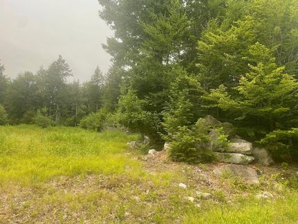 Farm Property for sale in Oxford County, Maine