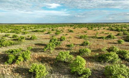Recreational Property for sale in Cottle County, Texas