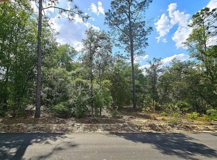 Farm Property for sale in Pierce County, Georgia