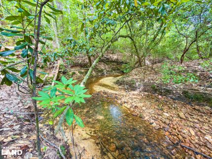Farm Property for sale in Choctaw County, Alabama