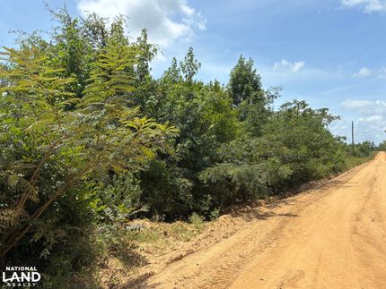 Ranch Property for sale in Laurens County, Georgia