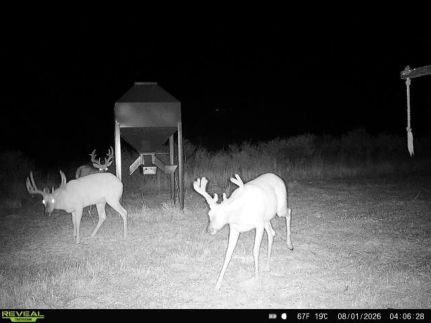 Farm Property for sale in Pratt County, Kansas