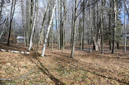 Ranch Property for sale in Osceola County, Michigan