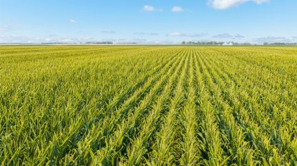 Farm Property for sale in Brookings County, South Dakota