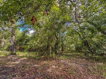 Farm Property for sale in Hernando County, Florida