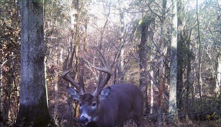 Farm Property for sale in Mercer County, Kentucky