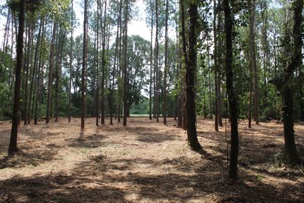 Ranch Property for sale in Macon County, Alabama