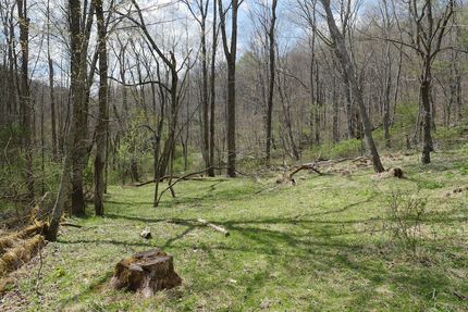 Farm Property for sale in Tazewell County, Virginia