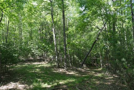 Ranch Property for sale in Carroll County, Virginia