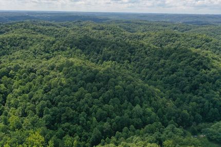 Timberland Property for sale in Lee County, Kentucky