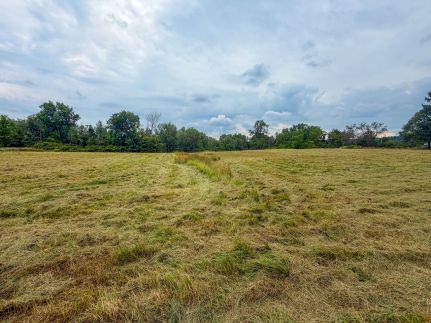 Farm Property for sale in Medina County, Ohio