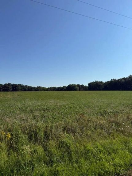Farm Property for sale in Fayette County, Illinois