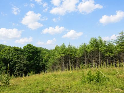 Ranch Property for sale in Monroe County, West Virginia