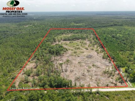 Farm Property for sale in Ware County, Georgia