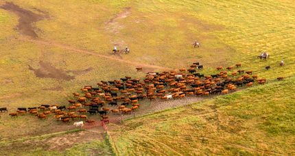 Farm Property for sale in Elk County, Kansas