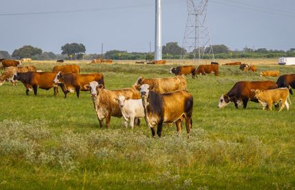 Ranch Property for sale in Wilson County, Texas