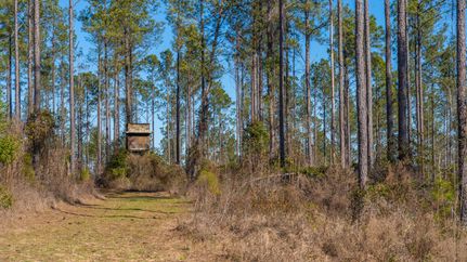 Farm Property for sale in Marion County, Georgia