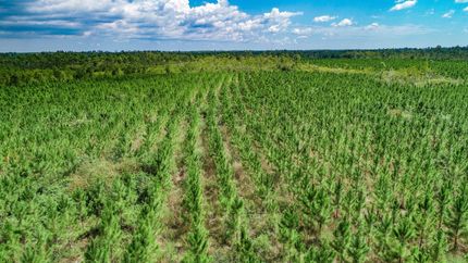 Farm Property for sale in Gulf County, Florida