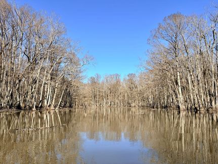 Ranch Property for sale in Carroll County, Mississippi
