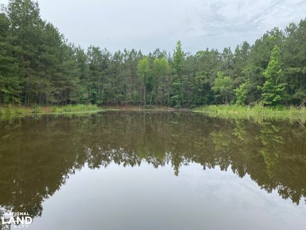 Timberland Property for sale in Calhoun County, Arkansas
