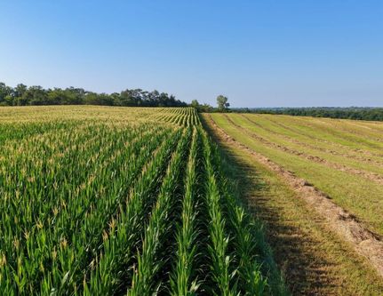 Ranch Property for sale in Greene County, Iowa