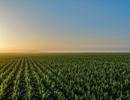 Farm Property for sale in Greene County, Iowa