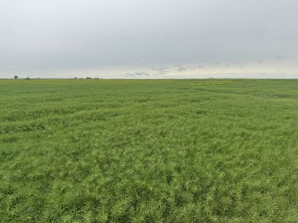 Farm Property for sale in Burke County, North Dakota