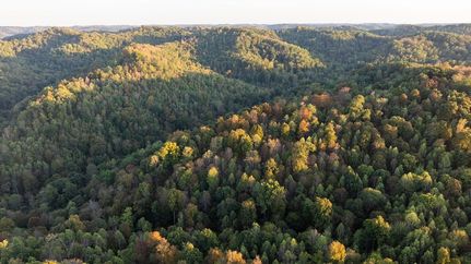 Farm Property for sale in Lewis County, Kentucky