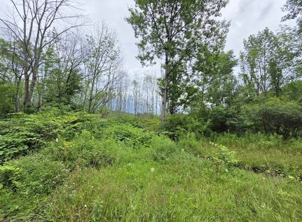 Farm Property for sale in Otsego County, New York