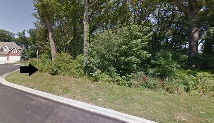 Undeveloped Land for sale in Cook County, Illinois