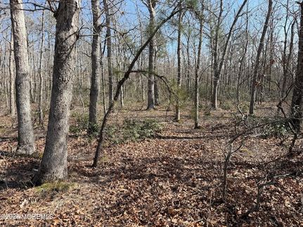 Ranch Property for sale in Ocean County, New Jersey
