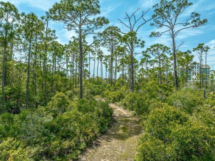 Farm Property for sale in Franklin County, Florida
