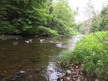 Farm Property for sale in Windham County, Vermont