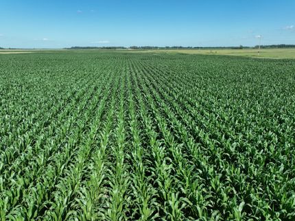 Farm Property for sale in Barnes County, North Dakota