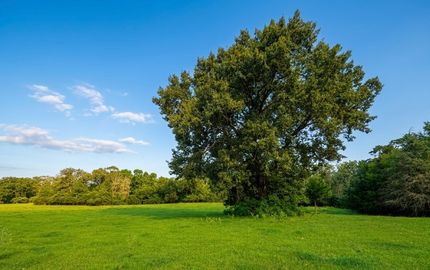 Recreational Property for sale in Leon County, Texas